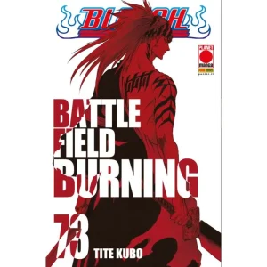 BLEACH 73