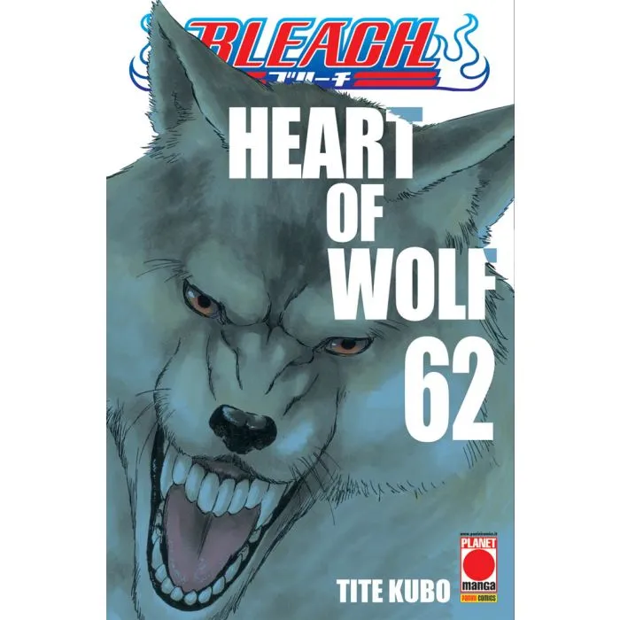 BLEACH 62