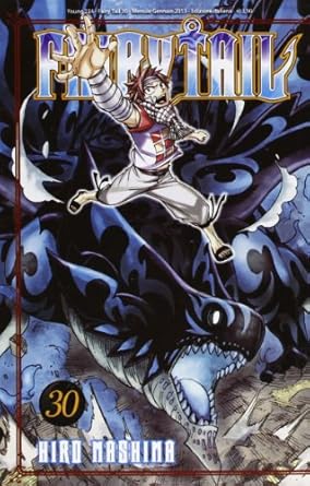 FAIRY TAIL 30