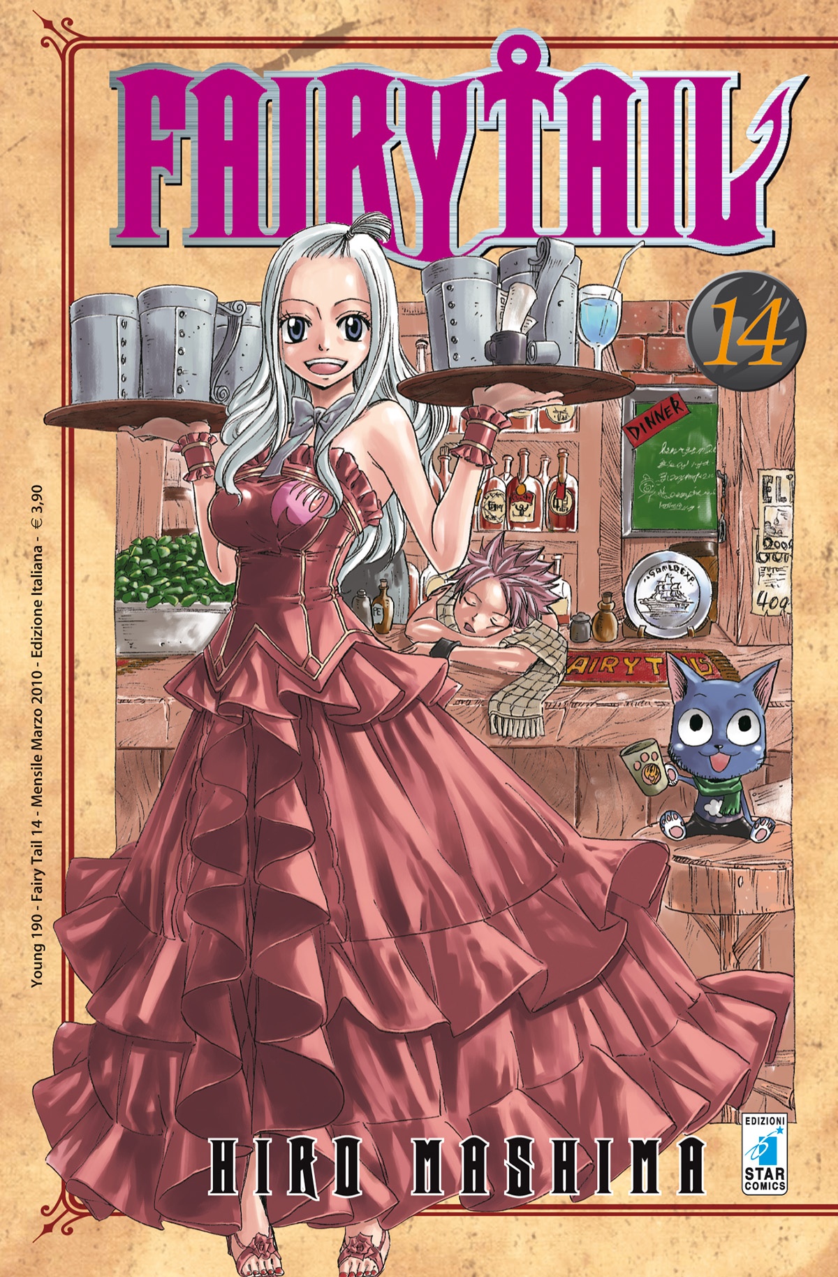 FAIRY TAIL 14