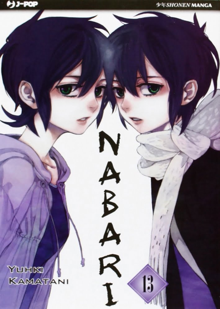 NABARI 13