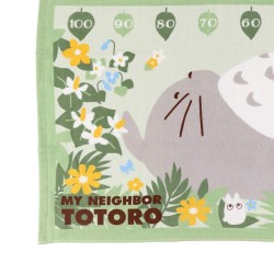 MY NEIGHBOR TOTORO ASCIUGAMANO TELO MARE 60x120cm