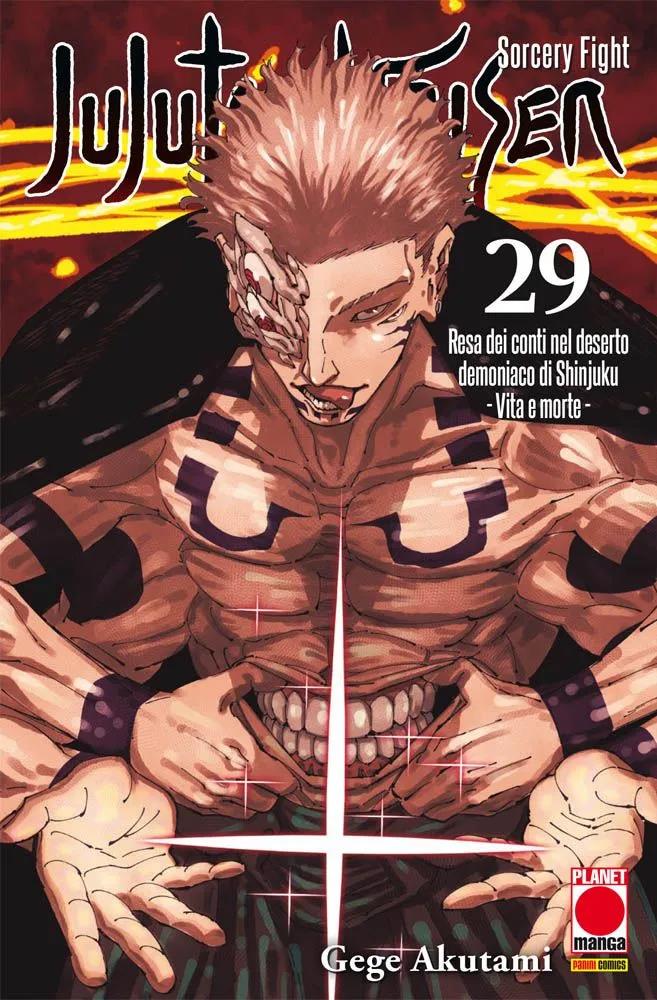 JUJUTSU KAISEN SORCERY FIGHT 29