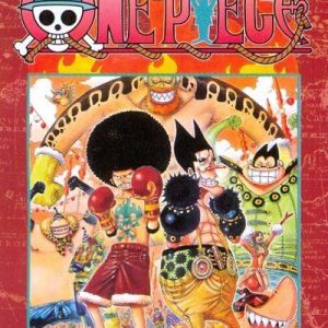 ONE PIECE NEW EDITION 33