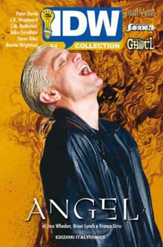 IDW COLLECTION 2