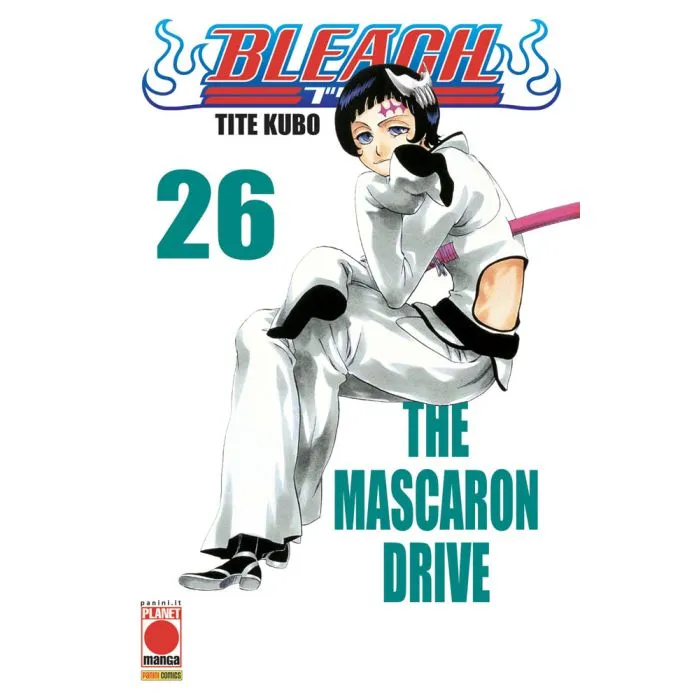 BLEACH 26