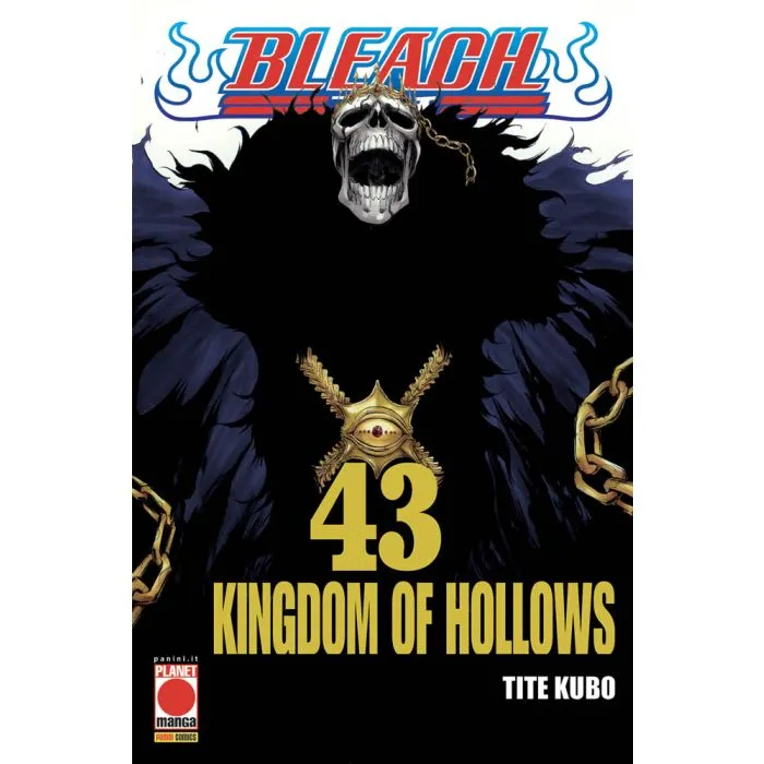 BLEACH 43