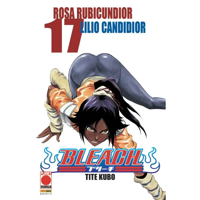 BLEACH 17