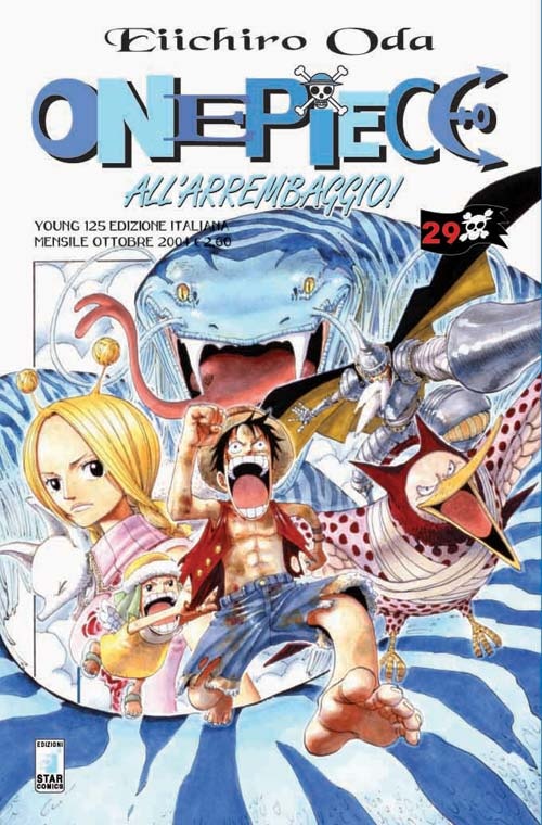 ONE PIECE 29