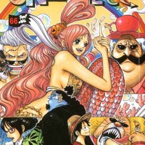 ONE PIECE 66 YOUNG 225
