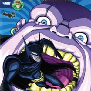 BATMAN E I SUPERAMICI 17