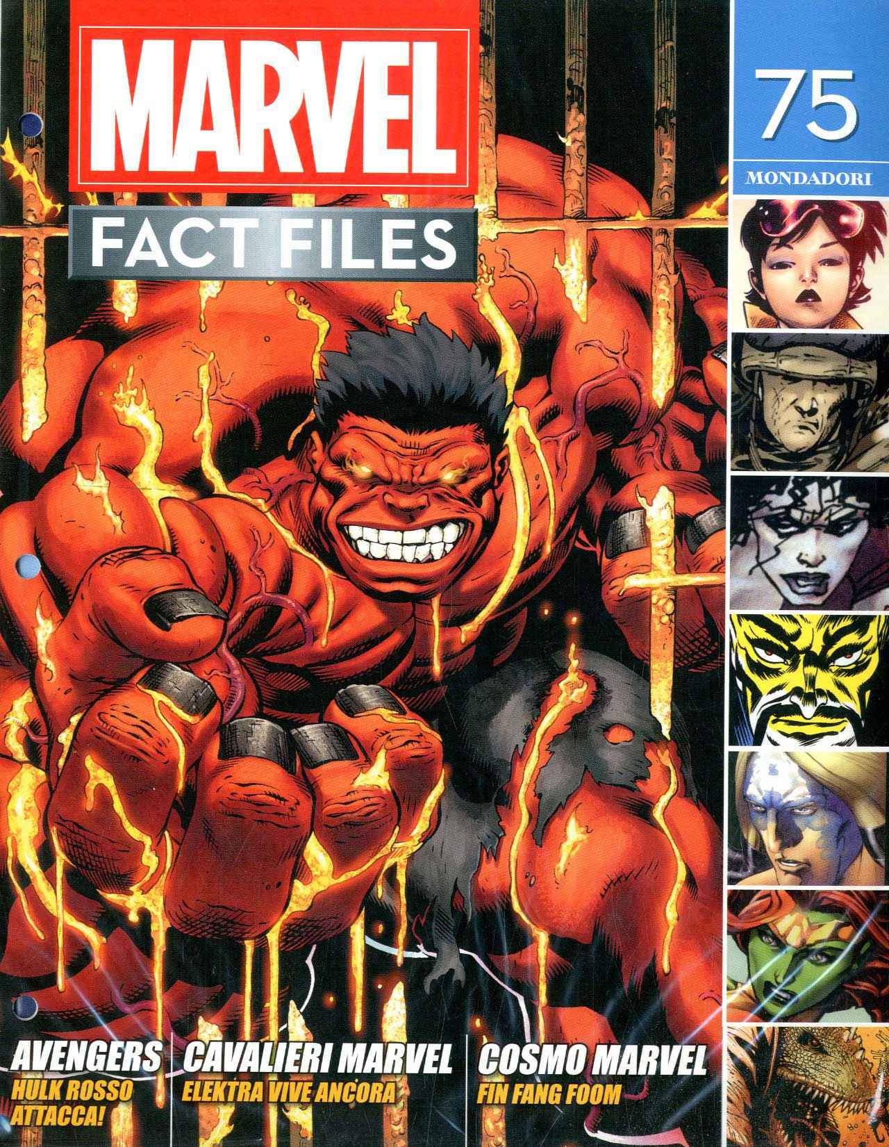 MARVEL FACT FILES 39