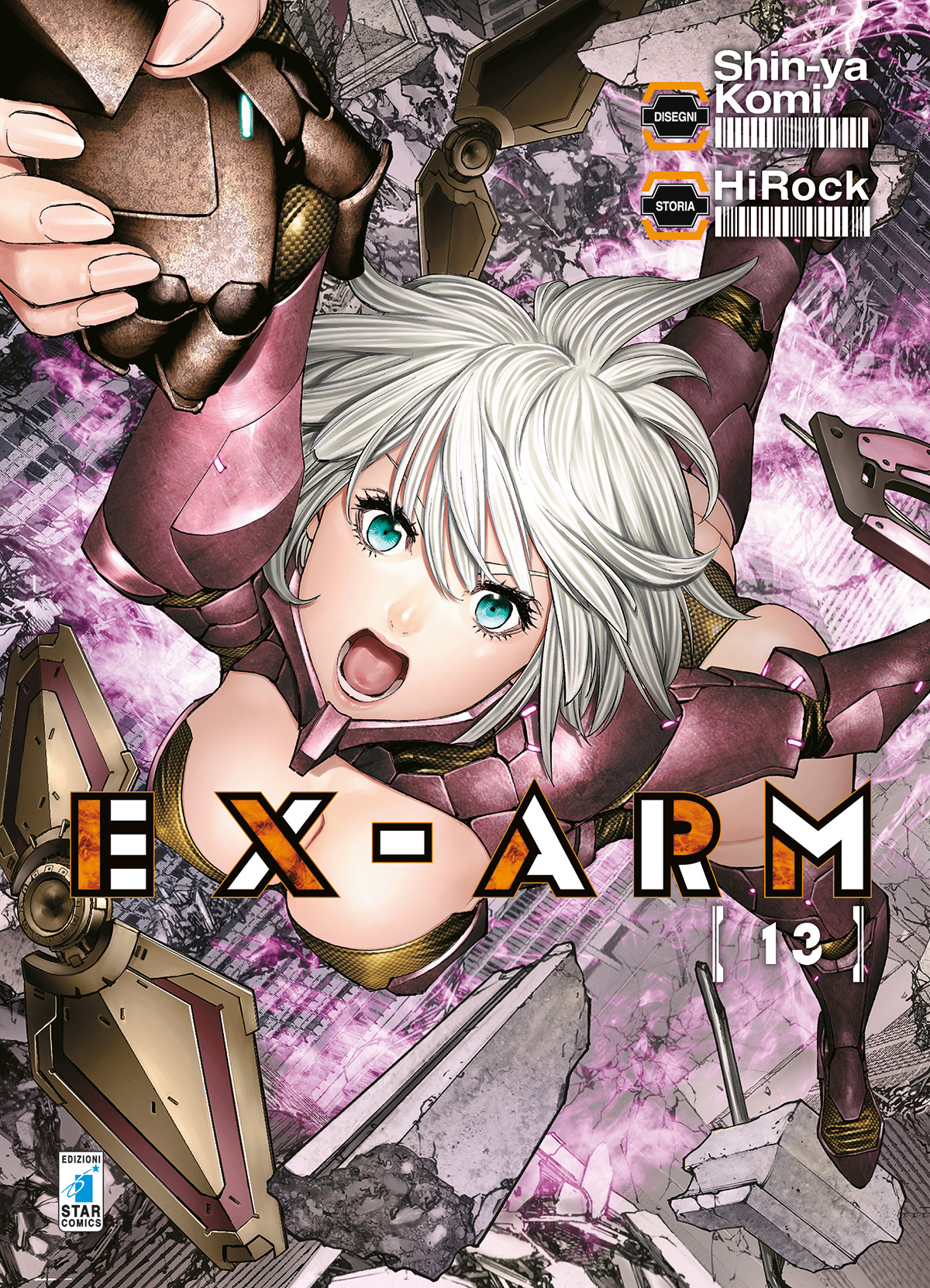 EX-ARM n. 13