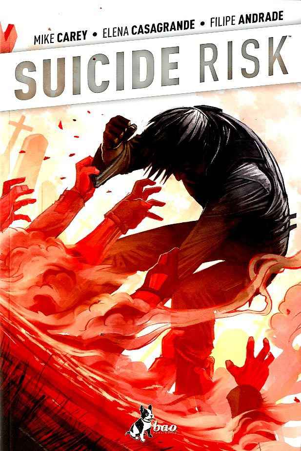 SUICIDE RISK 4