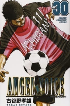 ANGEL VOICE 30