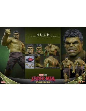 Hot Toys Movie Masterpiece Spider-Man: Brand New Day Hulk 1/6 Scale Collectible Figure