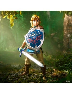Hasbro Heroes of Hyrule The Legend of Zelda: Tears of the Kingdom Link