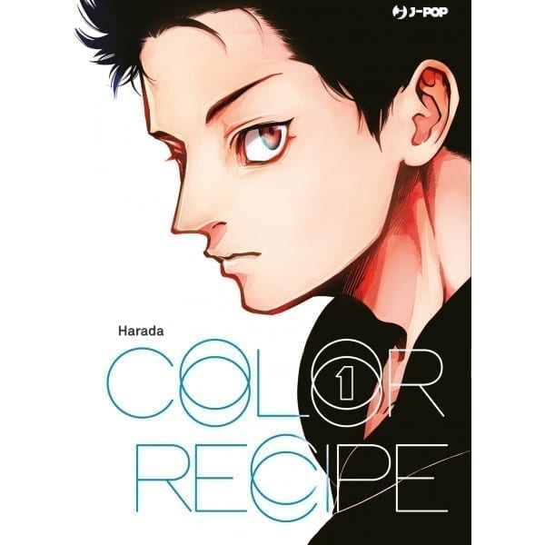 COLOR RECIPE 1 DI 2