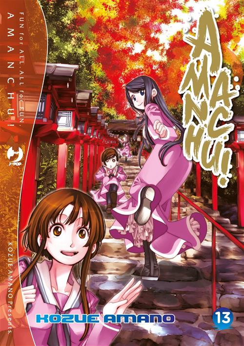 AMANCHU 13 DI 17