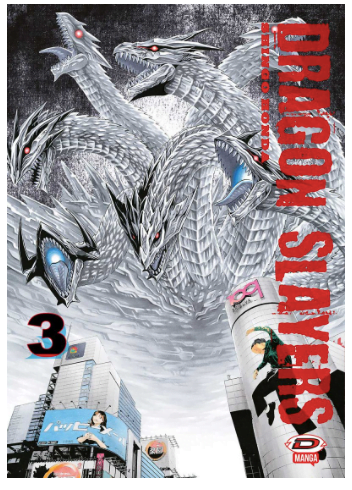 DRAGON SLAYERS 3
