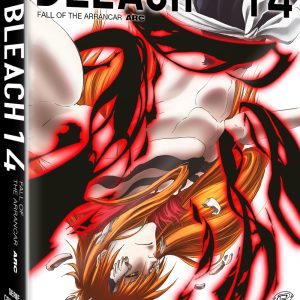 Bleach – Arc 14: Fall of the Arrancar – Episodi 266 / 291 – Blu-Ray