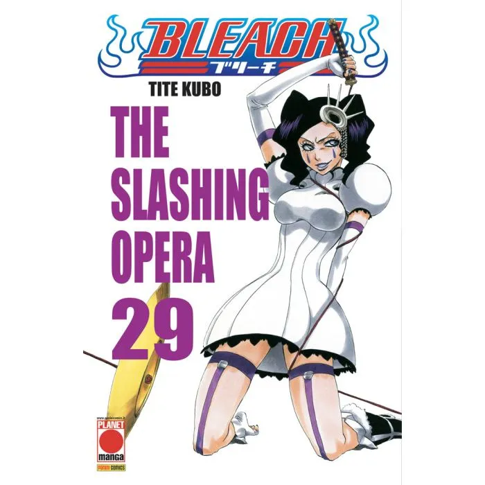 BLEACH 29