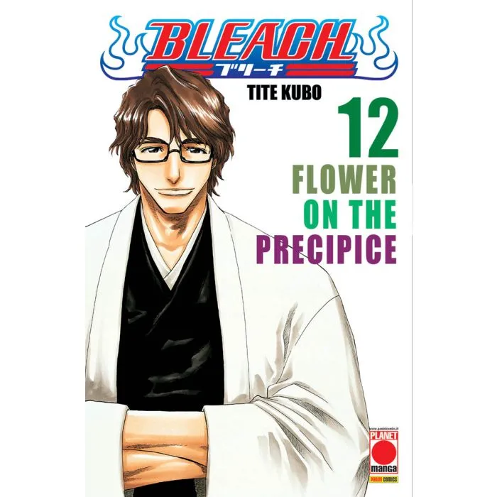 BLEACH 12