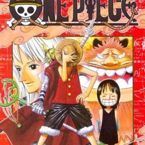 ONE PIECE NEW EDITION 41