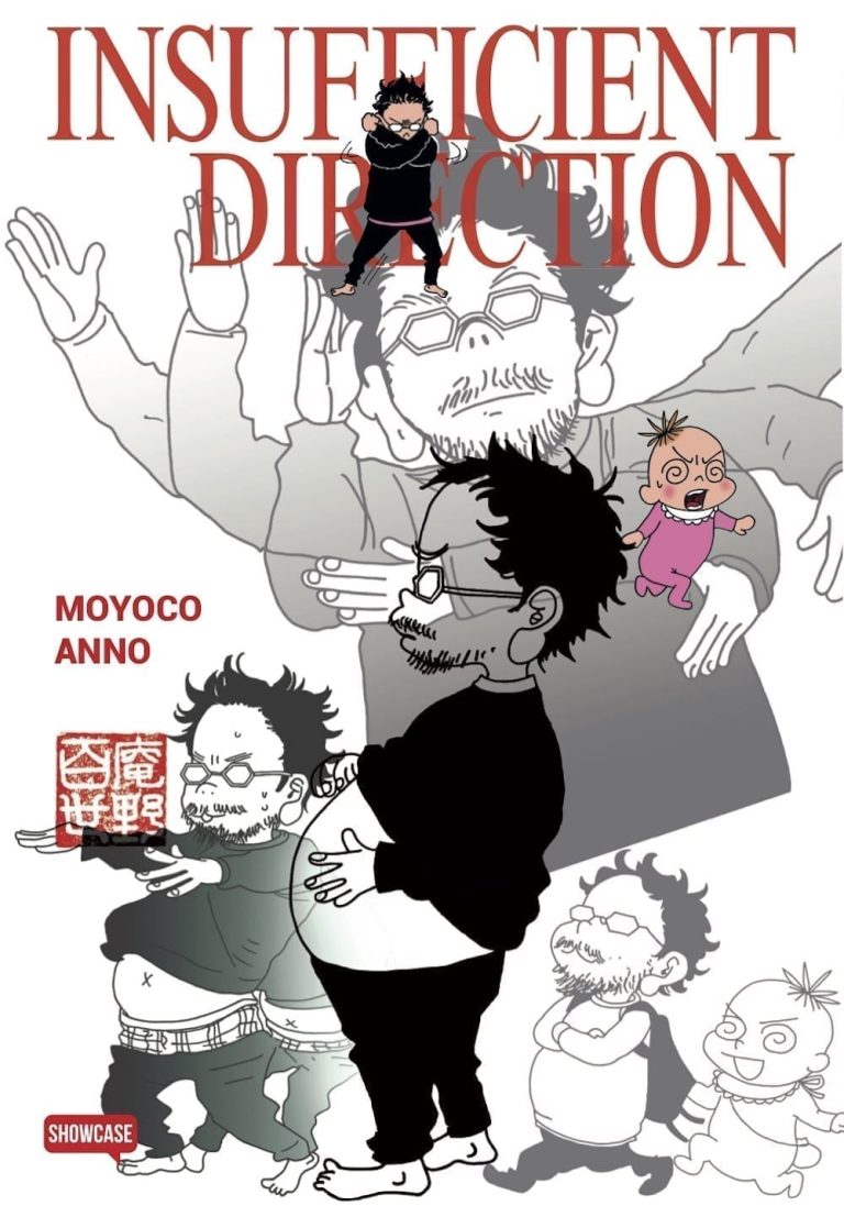 INSUFFICIENT DIRECTION